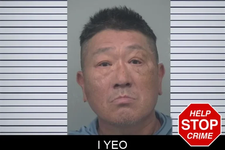 I Yeo mugshot – Gwinnett County , Georgia I Yeo