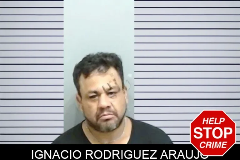 Ignacio Rodriguez Araujo