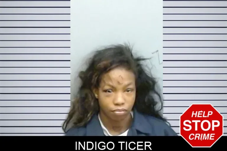 Indigo Ticer mugshot – Fulton County , Georgia Indigo Ticer