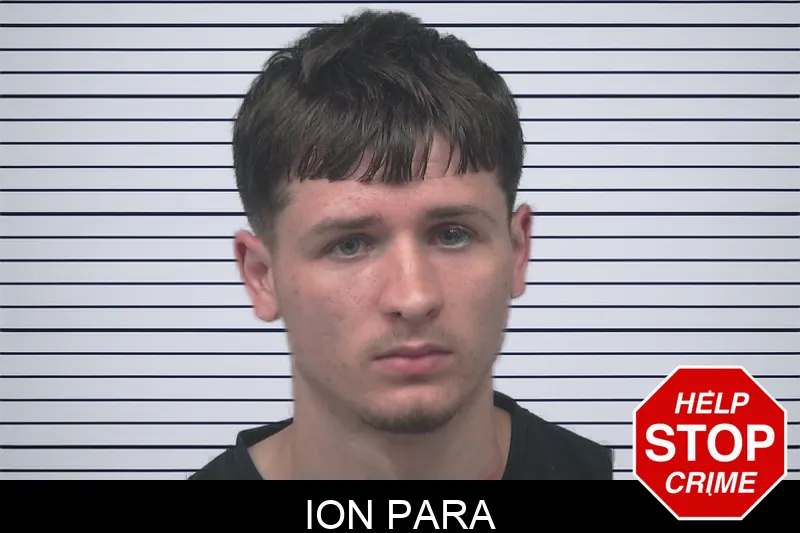 Ion Para Mugshots