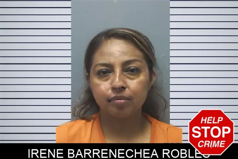 Irene Barrenechea Robles