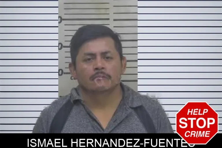 Ismael Hernandez-Fuentes