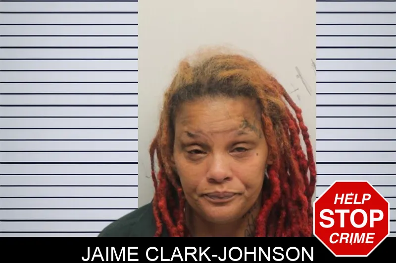 Jaime Clark-Johnson Mugshots