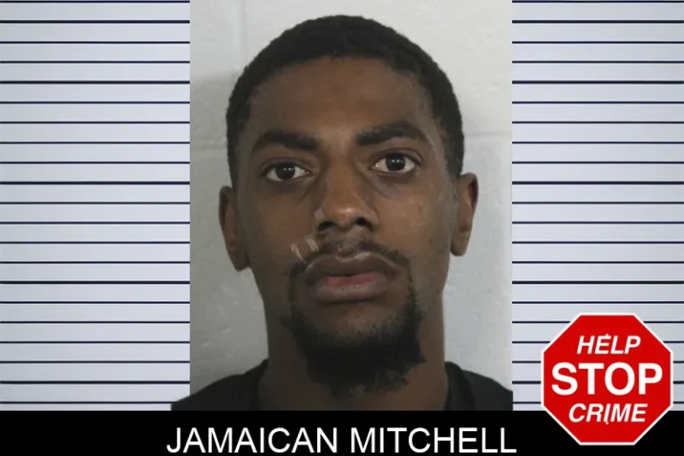 Jamaican Mitchell