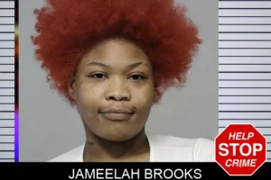 Jameelah Brooks mugshot