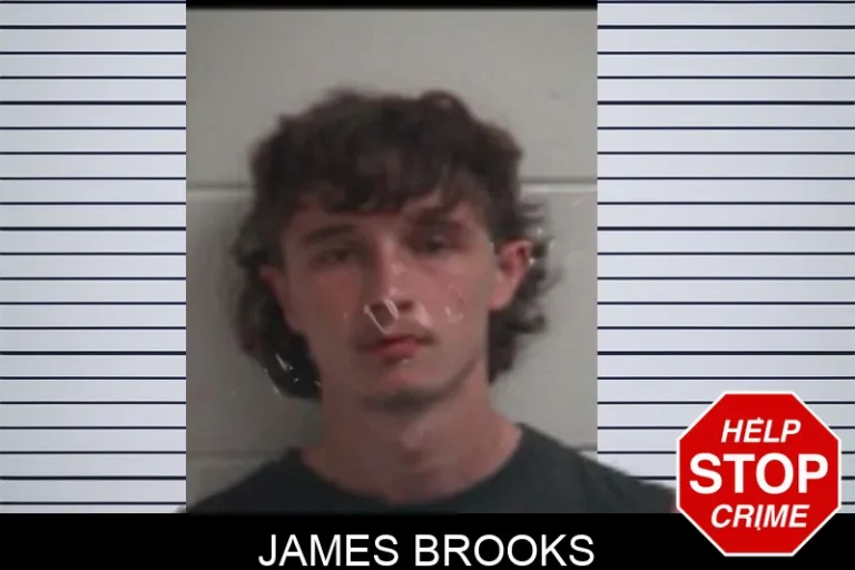James Brooks mugshot – Henry County , Georgia James Brooks