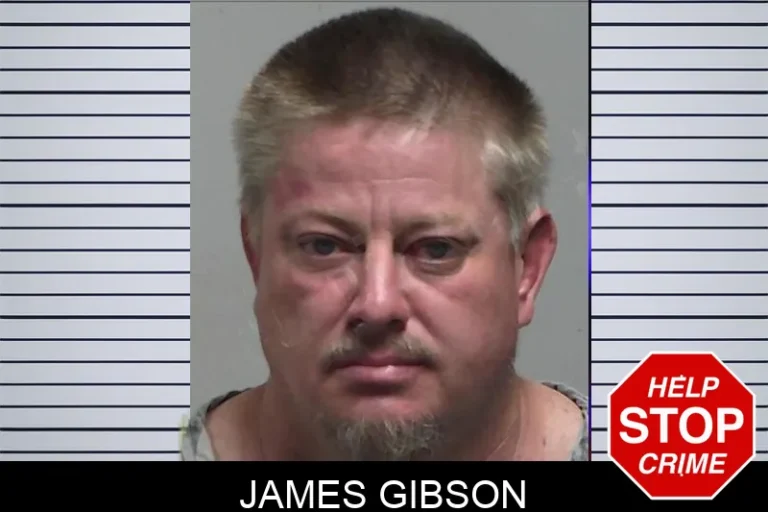 James Gibson