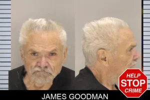 James Goodman mugshot