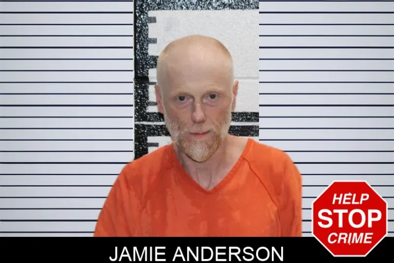 Jamie Anderson mugshot – Murray County , Georgia Jamie Anderson