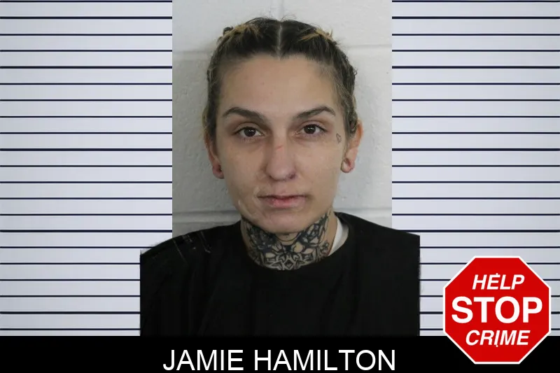 Jamie Hamilton Mugshots