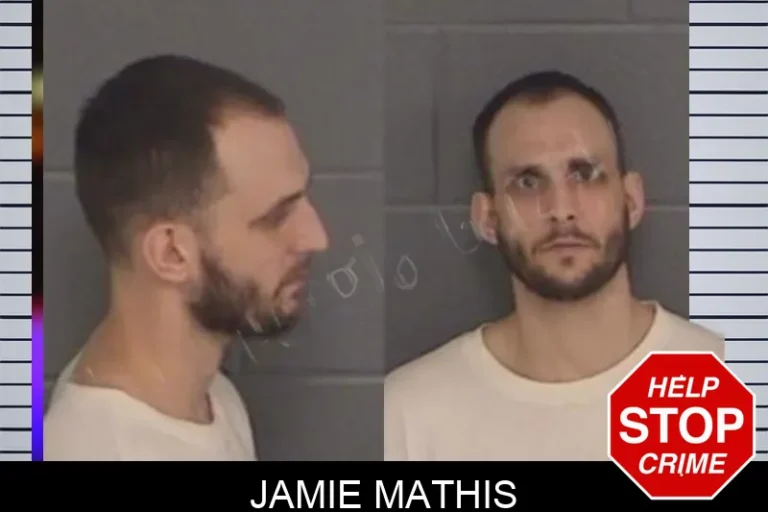 Jamie Mathis mugshot – Barrow County , Georgia Jamie Mathis
