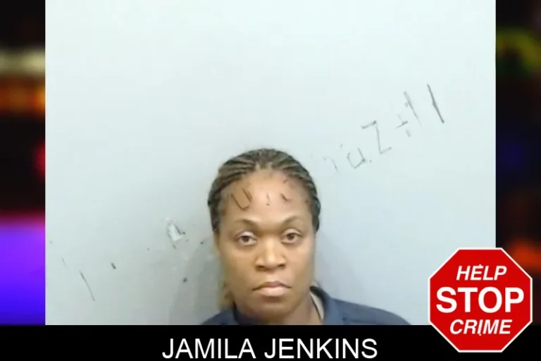Jamila Jenkins mugshot – Fulton County , Georgia Jamila Jenkins