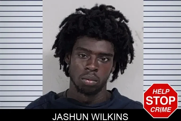 Jashun Wilkins mugshot – Lowndes County , Georgia Jashun Wilkins