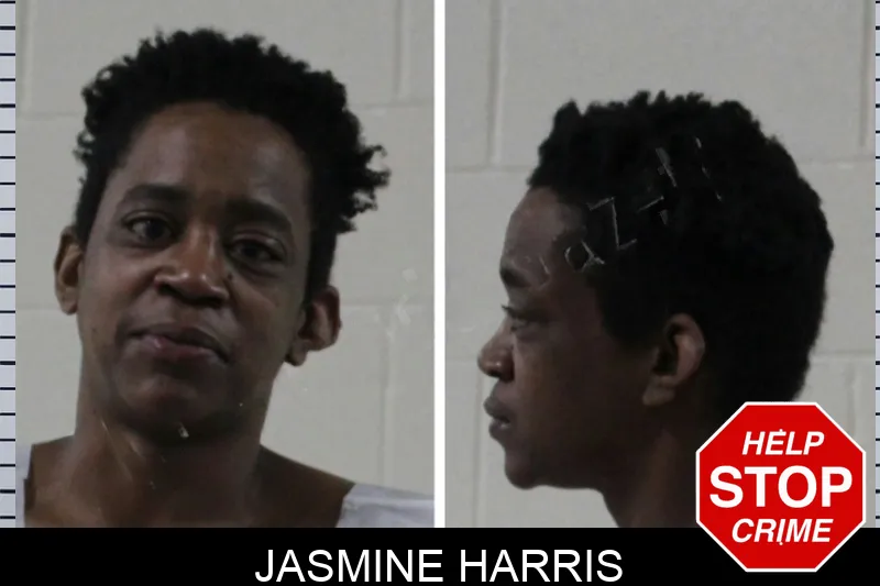 Jasmine Harris Mugshots