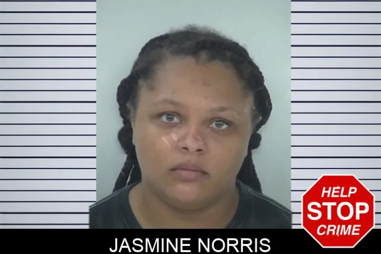 Jasmine Norris mugshot – Fayette County , Georgia Jasmine Norris