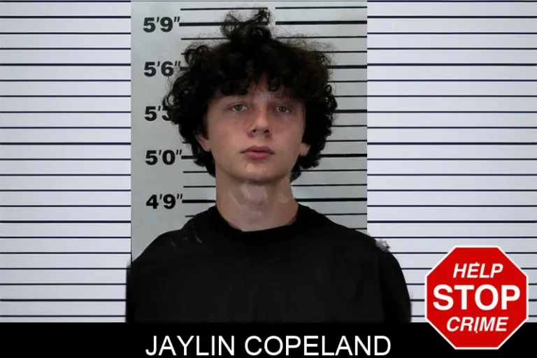 Jaylin Copeland mugshot – Hart County , Georgia Jaylin Copeland