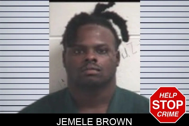 Jemele Brown Mugshots