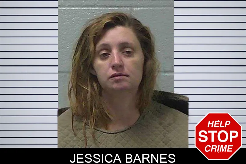 Jessica Barnes Mugshots