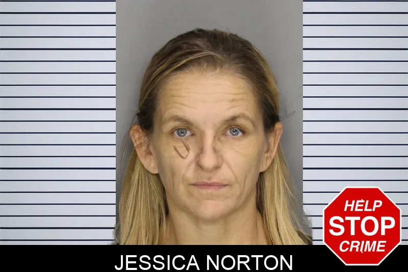 Jessica Norton mugshot