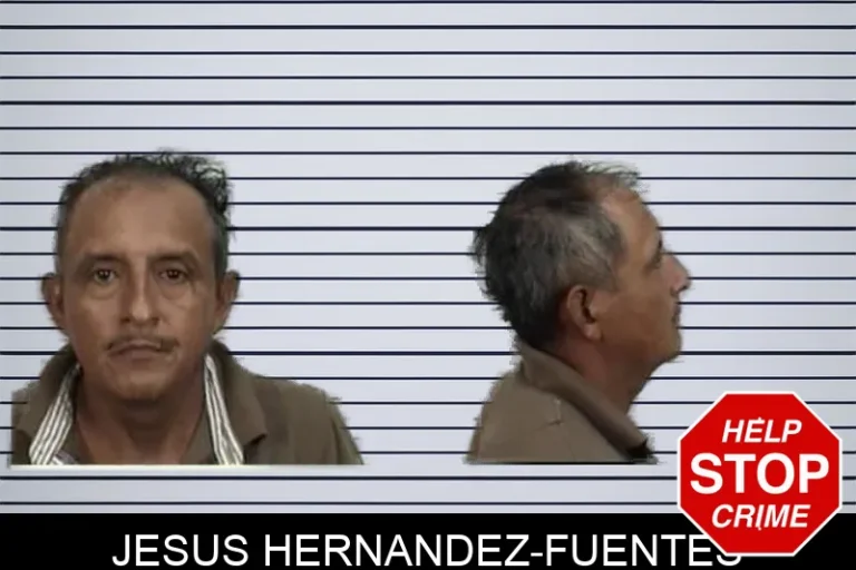 Jesus Hernandez-Fuentes