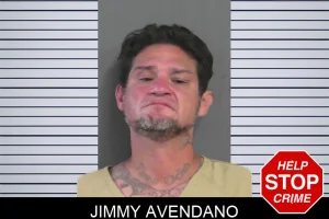 Jimmy Avendano mugshot