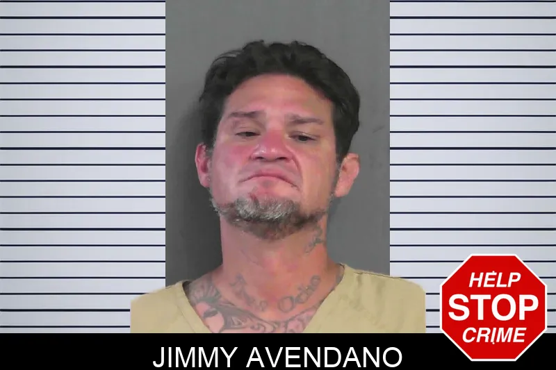 Jimmy Avendano Mugshots