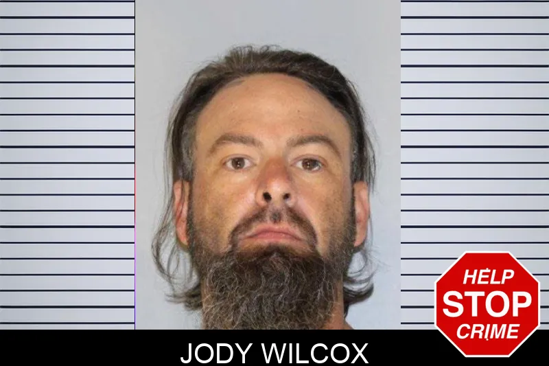 Jody Wilcox mugshot – Hall County , Georgia Jody Wilcox mugshot