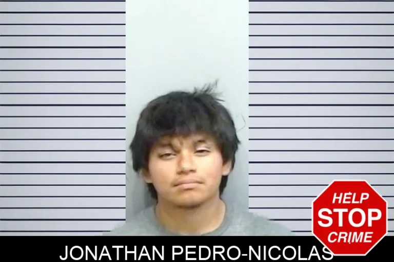 Jonathan Pedro-Nicolas