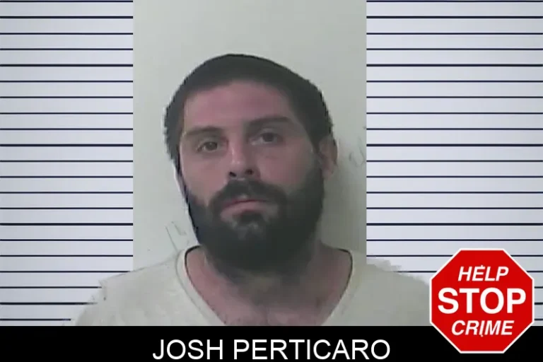 Josh Perticaro