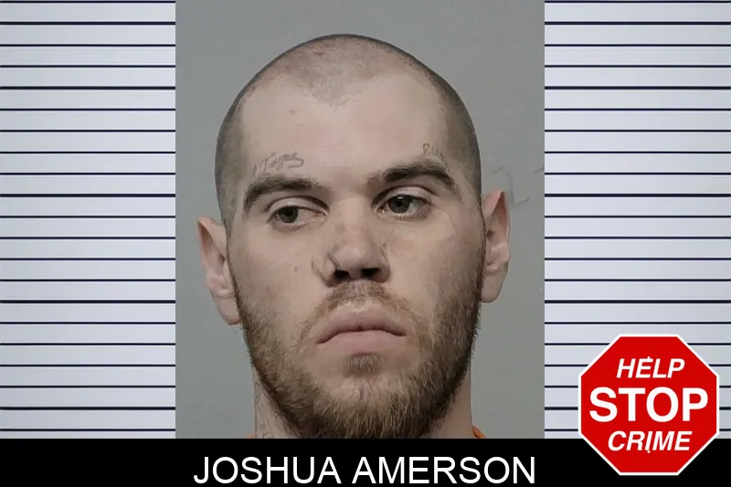 Joshua Amerson Mugshots