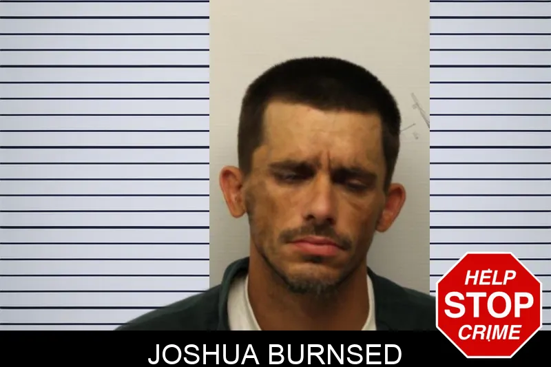 Joshua Burnsed Mugshots