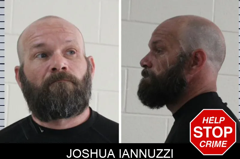 Joshua Iannuzzi Mugshots