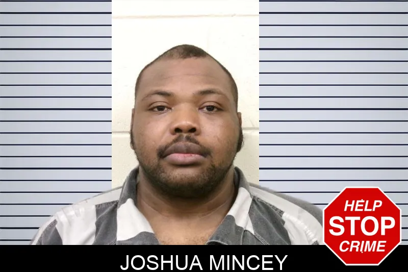 Joshua Mincey Mugshots
