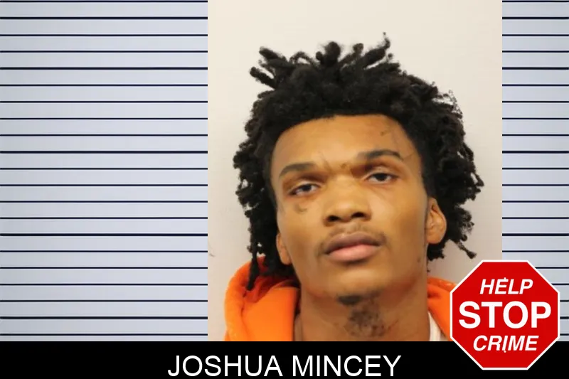 Joshua Mincey Mugshots