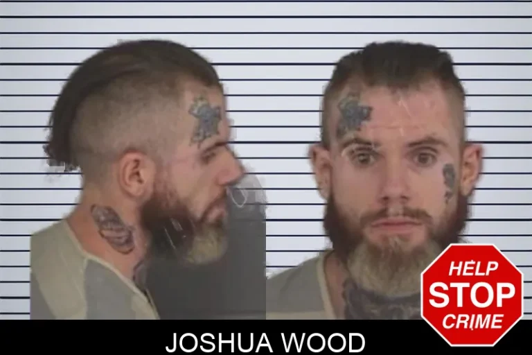 Joshua Wood mugshot – Barrow County , Georgia Joshua Wood