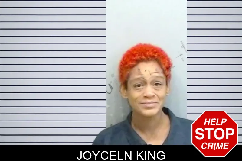 Joyceln King Mugshots