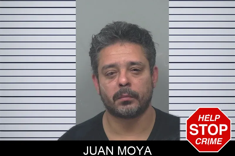 Juan Moya Mugshots