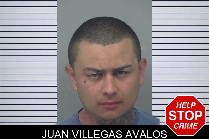 Juan Villegas Avalos Mugshots