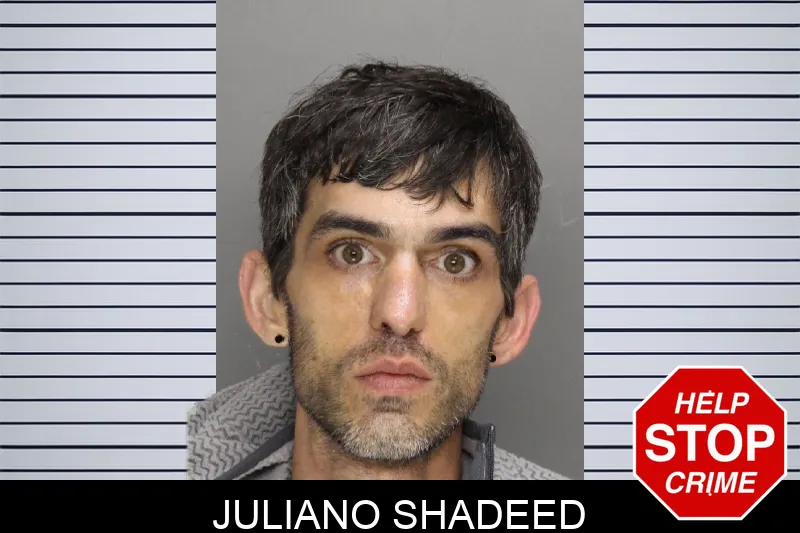 Juliano Shadeed Mugshots