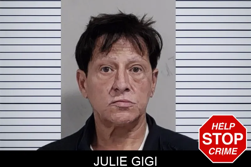 Julie Gigi Mugshots