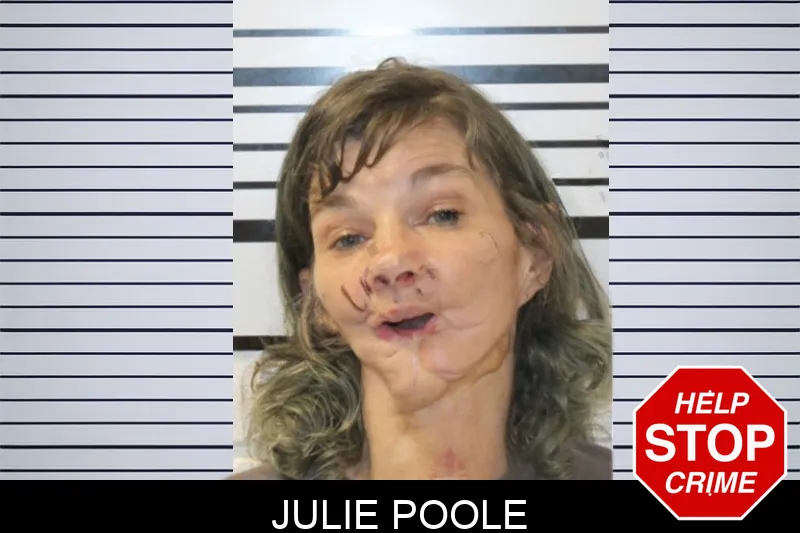 Julie Poole Mugshots