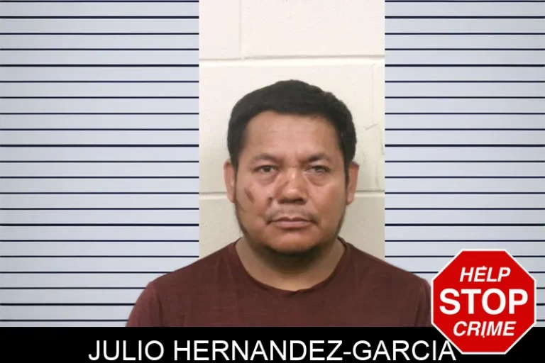 Julio Hernandez-Garcia