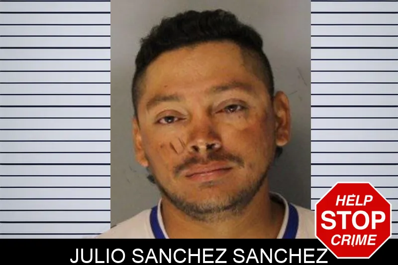 Julio Sanchez Sanchez Mugshots