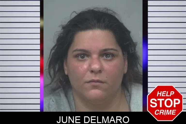 June Delmaro mugshot – Gwinnett County , Georgia June Delmaro
