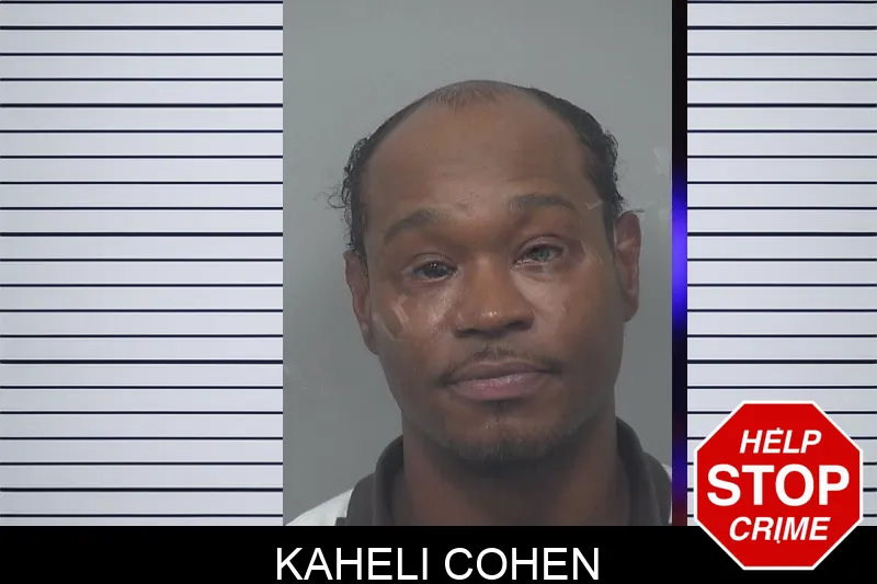 Kaheli Cohen Mugshots
