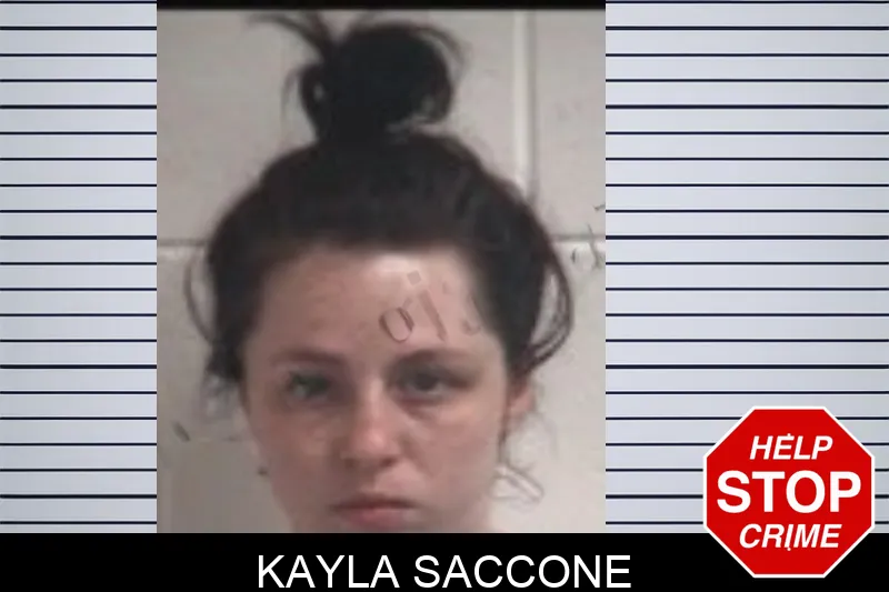 Kayla Saccone Mugshots