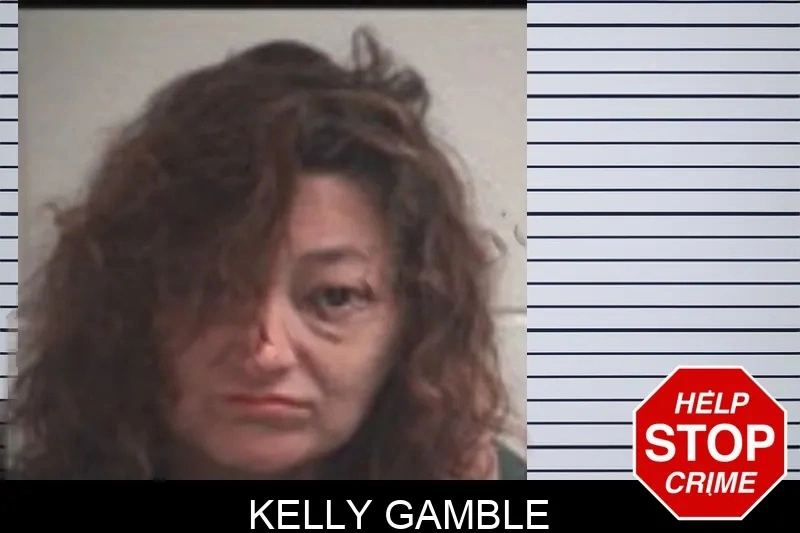 Kelly Gamble Mugshots