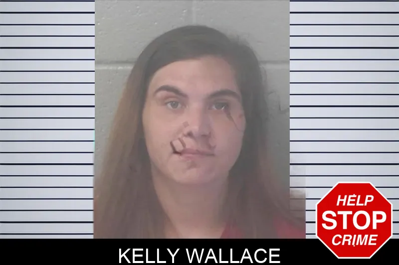 Kelly Wallace Mugshots