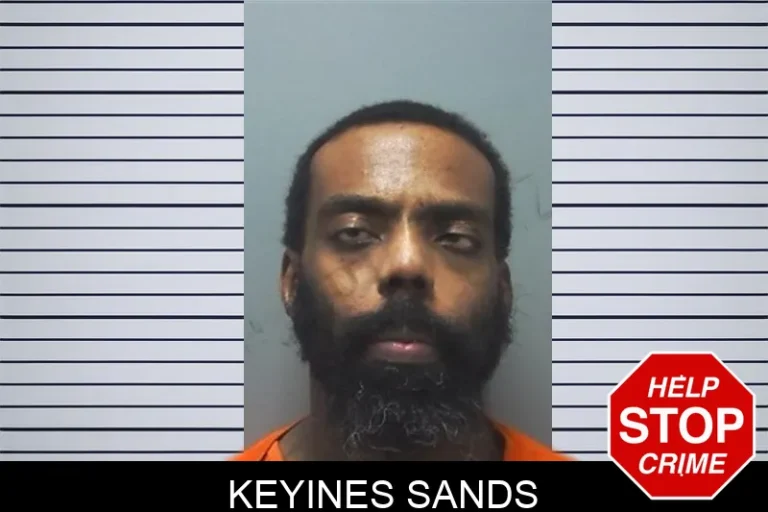 Keyines Sands mugshot – Cherokee County , Georgia Keyines Sands