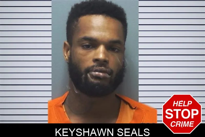 Keyshawn Seals mugshot – Cherokee County , Georgia Keyshawn Seals mugshot